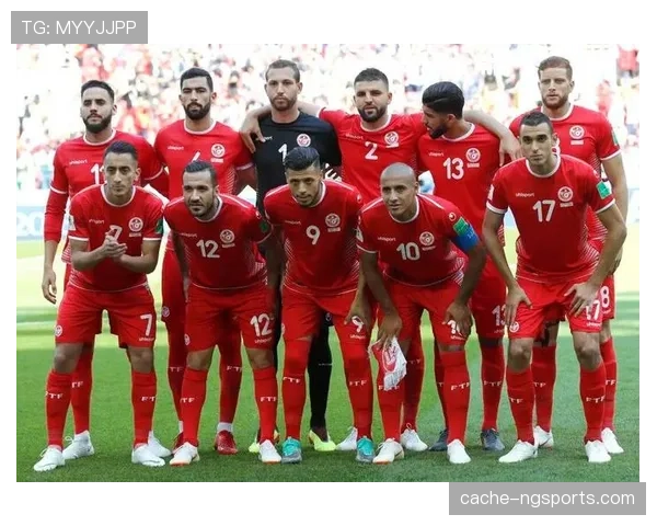 突尼斯2026世界杯阵容预测：谁能扛起北非之鹰的进攻大旗